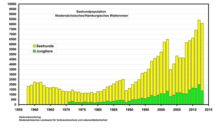 Seehundpopulation Niedersächsisches/Hamburgisches Wattenmeer