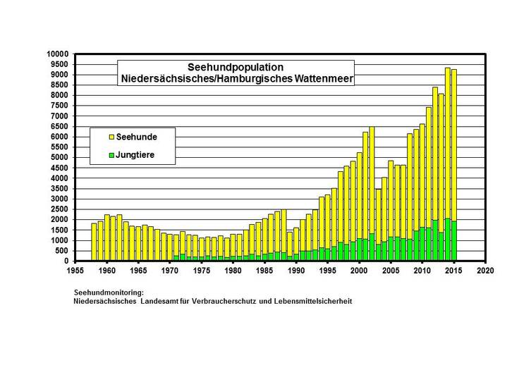 Seehundpopulation Niedersächsisches/Hamburgisches Wattenmeer Stand 2015