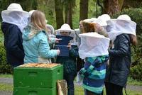 Zukunftstag im Bieneninstitut Celle