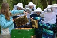 Zukunftstag im Bieneninstitut Celle