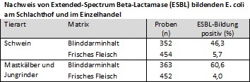 Nachweis von ESBL-bildenden E. coli am Schlachthof und im Einzelhandel