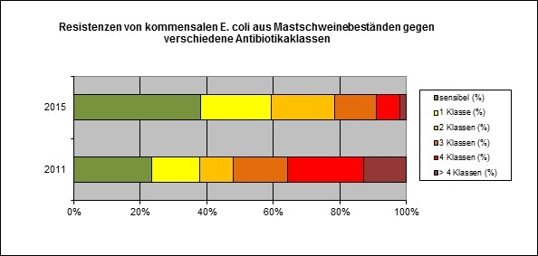 Resistenzen von kommensalen E. coli aus Mastschweinebeständen gegen verschiedene Antibiotikaklassen