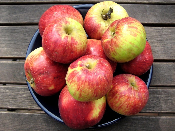 Äpfel von einer Streuobstwiese