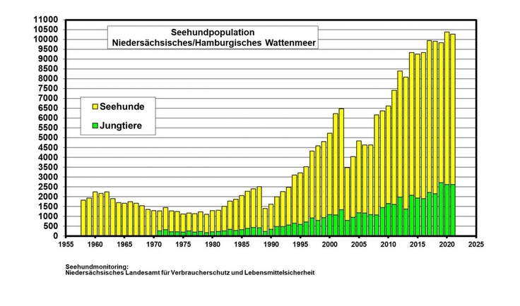 Tabelle Anzahl der Seehunde der Jahre 1958 bis 2017