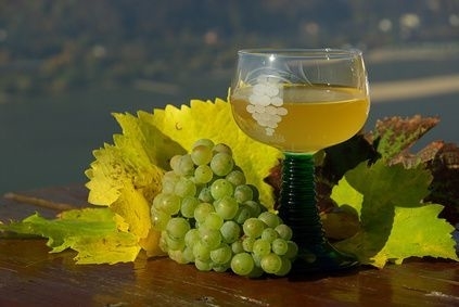 Weinglas neben Weinblättern und eine Rebe Trauben mit Ausblick über die tiefer liegende Landschaft.