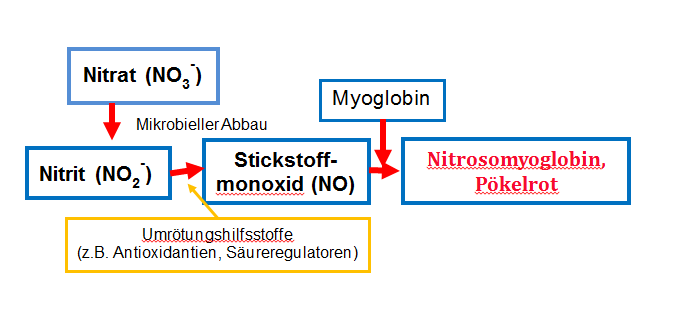 Chemische Abläufe bei der Farbstabilisierung von Thunfisch