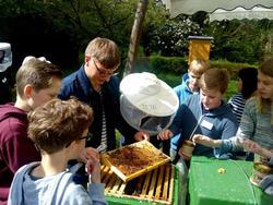 Schülerinnen und Schüler beim Zukunftstag im LAVES Institut Bienenkunde Celle