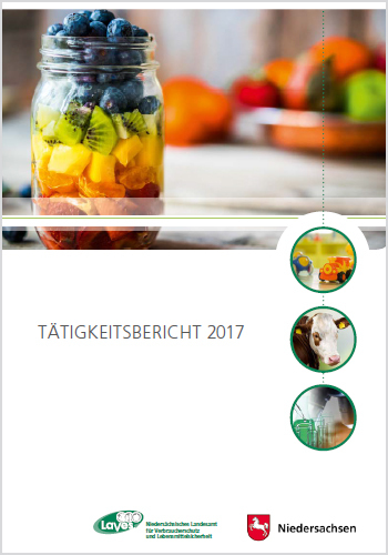 Titelseite des Tätigkeistberichts 2017