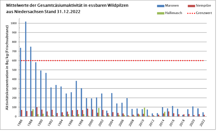 Mittelwerte der Gesamt-Cäsiumaktivität in essbaren Wildpilzen aus Niedersachsen 1986 bis 2022. Die heterogene Belastung in Niedersachsen führt bei niedriger Probenzahl zu starken Schwankungen der Einzelwerte gegenüber dem Vorjahr.