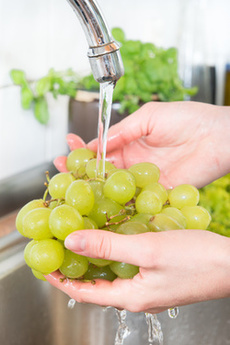 Weintrauben werden unter fließendem Wasser gewaschen