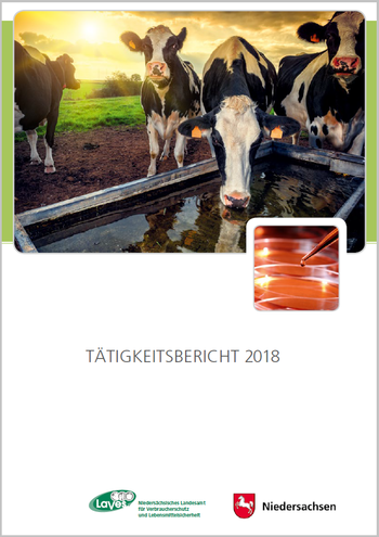 Titelseite des LAVES-Tätigkeitsberichts 2018