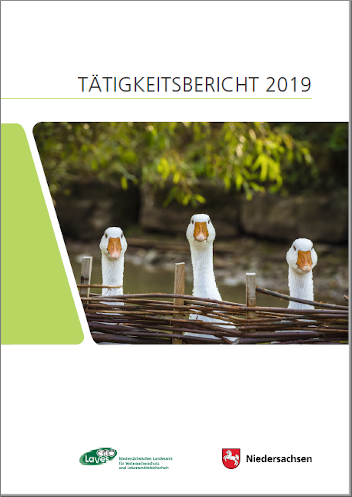 Titelseite Tätigkeitsbericht 2019