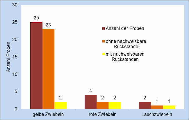 Abbildung 1 Ergebniszusammenfassung Zwiebelproben: In 26 von 31 Proben keine Rückstände. In je zwei Proben gelbe und rote Zwiebeln ein Wirkstoff und in einer Lauchzwiebelprobe zwei Rückstände. Höchstgehaltsüberschreitung wurde nicht festgestellt