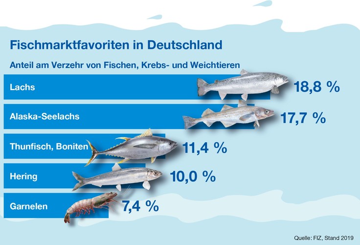 Wie Viele Kalorien Hat Fisch - bausa alya