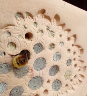 Ein gebrannte Tonblock mit verschieden großen Löchern.. Die meisten Löcher sind bereits von Bienen verdeckelt worden. An einem Loch ist der pelzige Hinterleib einer Biene zu sehen.