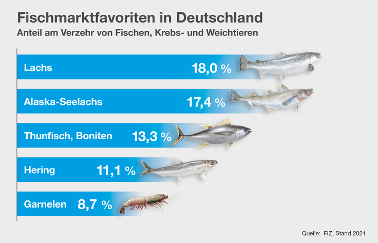 Beliebteste Fische auf Fischmärkten in Deutschland in 2021: Lachs 18%, Alaska-Seelachs 17,4%, Thunfisch und Boniten 13,3%, Hering 11,1%, Garnelen 8,7%.