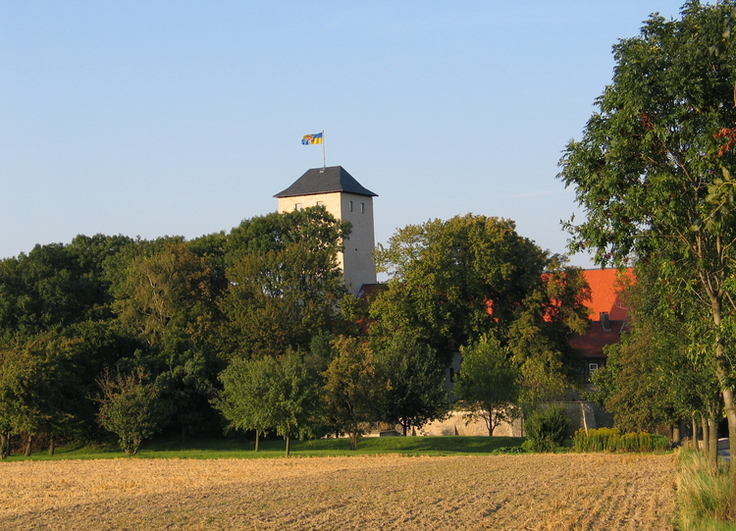 Ein quadratischer Turm aus weißen Steinen ragt hinter einer Baumreihe hervor. Auf dem schwarzen Schieferdach weht eine blau-gelbe Fahne im Wind vor wolkenlosem Himmel. Über der gesamten Szenerie liegt ein warmer Sonnenschein.