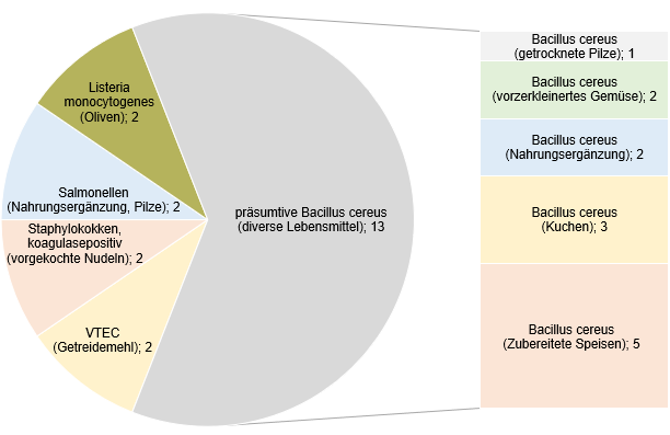Übersicht der Proben mit relevanten Gehalten an pathogenen Mikroorganismen – Anzahl und Art der Lebensmittel