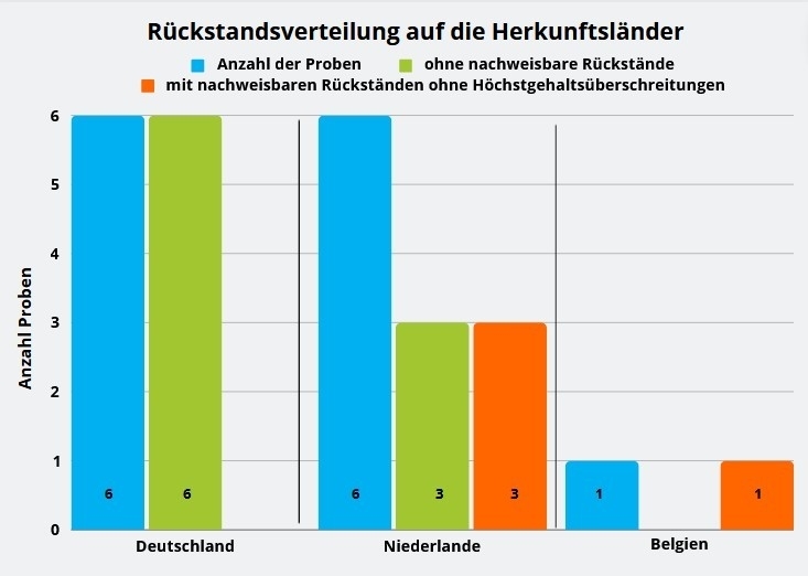 Abbildung : Ergebniszusammenfassung der Chicoreeproben. Herkunftsländer waren sechsmal Deutschland, sechsmal die Niederlande und einmal Belgien.