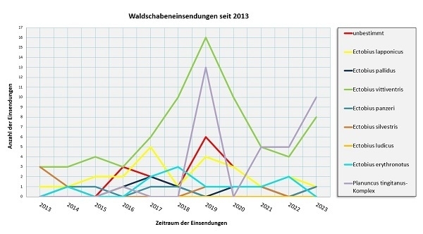 2023: einmal Ectobius lapponicus, achtmal Ectobius vittiventris, einmal Ectobius panzeri, zehnmal Planuncus tingitanus-Komplex, einmal unbestimmt