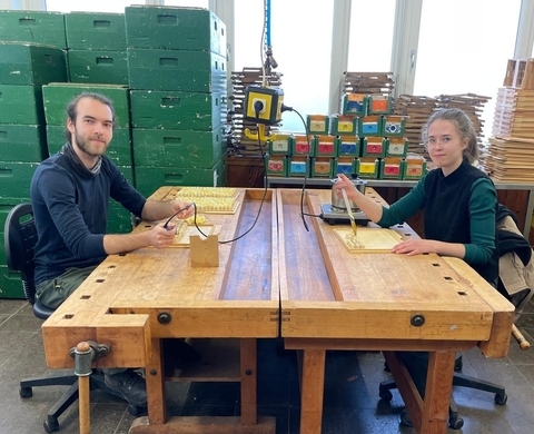 Auszubildende zum/r Tierwirt/-in Fachrichtung Imkerei bei der Arbeit an Bienenwaben