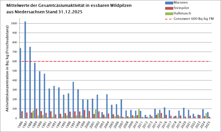 Mittelwerte der Gesamt-Cäsiumaktivität in essbaren Wildpilzen aus Niedersachsen 1986 bis 2025. Die heterogene Belastung in Niedersachsen führt bei niedriger Probenzahl zu starken Schwankungen der Einzelwerte gegenüber dem Vorjahr.
