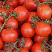 Tomaten