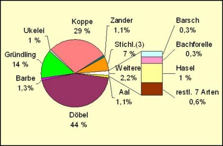 Abb. 2: Fischartenzusammensetzung im Elektrofang der Werra