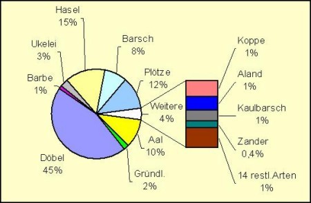 Abb. 1: Fischartenzusammensetzung im Elektrofang der Oberweser