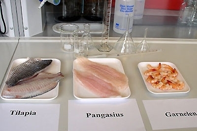 Typische Fisch- und Garnelenproben aus der Aquakulturhaltung