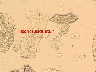 Fischmuskulatur in Sojaschrot