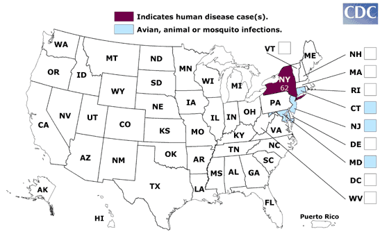 Abb. 2 a: Einschleppung des West-Nil-Virus in die USA 1999