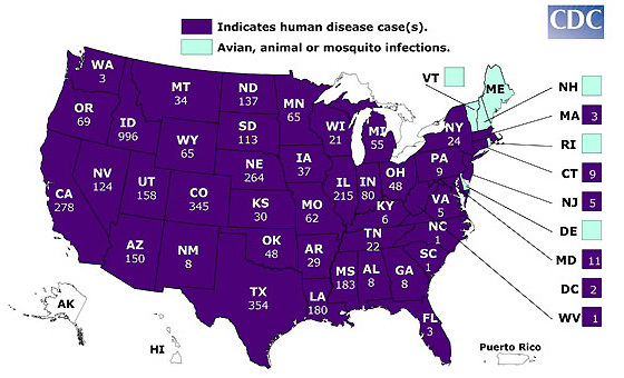 Abb. 2 c: Einschleppung des West-Nil-Virus in die USA 2006