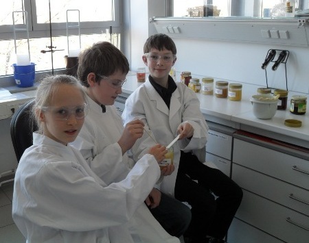 Schüler bei der Honigverkostung