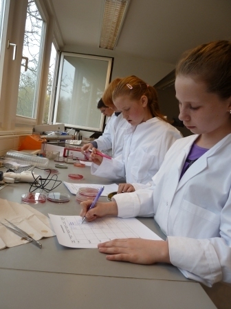 Schüler im Futtermittelinstitut Stade