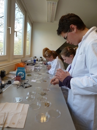 Schüler beim Separieren von Proben