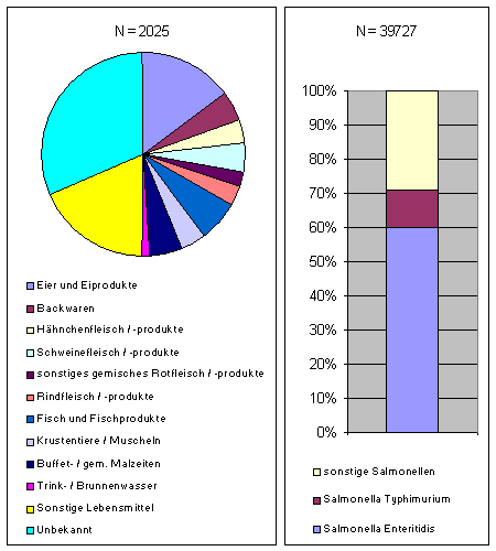 Nahrungsmittel und Erreger als Infektionsquelle und Ursache lebensmittelbedingter Krankheitsausbrüche beim Menschen