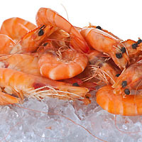 Scampi