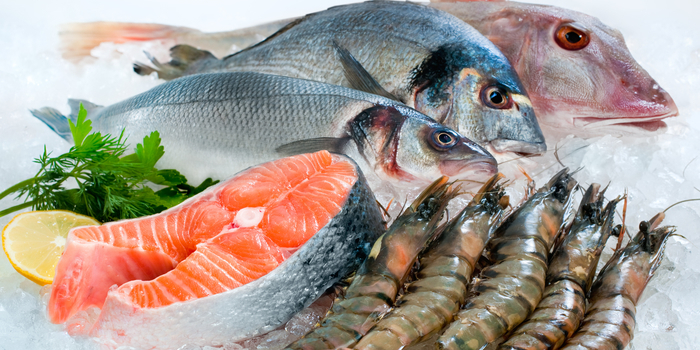 Verschiedene Fische und Garnelen auf Eis