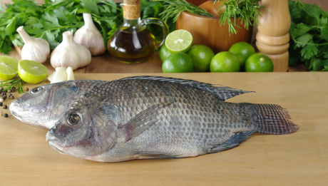 Rohe Fische und andere Zutaten