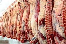 Fleisch und Fleischerzeugnisse