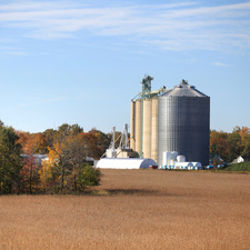 Getreidesilos in herbstlicher Landschaft