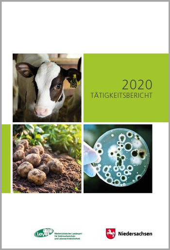 Titelblatt des Tätigkeitsberichts 2020