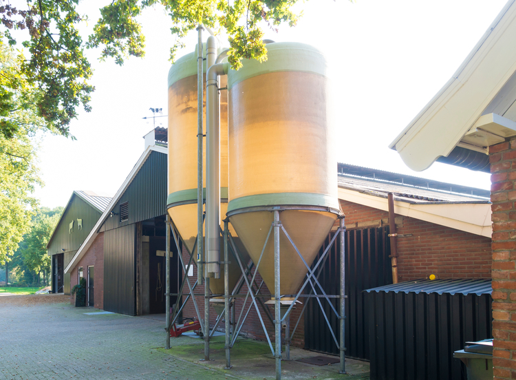 Zwei gelbe Futtersilos stehen vor einem Stall bei hellem Sonnenschein.