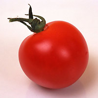 Tomate