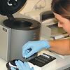 Untersuchung auf Koi-Herpesvirus mittels PCR im VI Hannover
