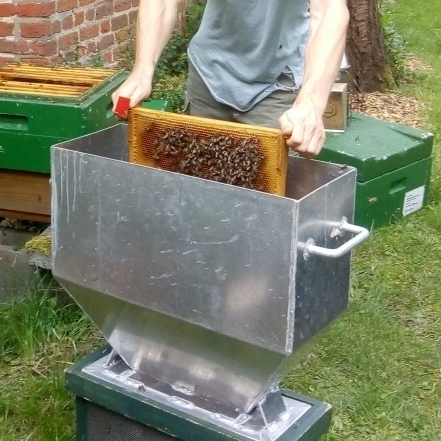 Ein junger Mann hält einen Holzrahmen mit Bienen über eine Edelstahlkiste. Im Hintergrund ist die Bienenbeute zu sehen. aus der dieser Rahmen stammt.