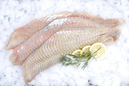 Drei Filetstücke unterschiedlicher Fische liegen auf Eis.