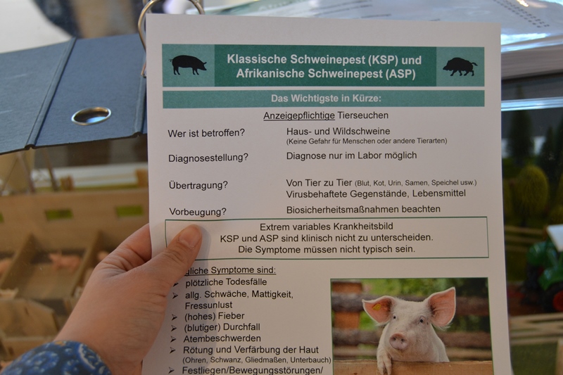Merkblatt mit den wichtigsten Infos zur Klassischen und Afrikanischen Schweinepest.