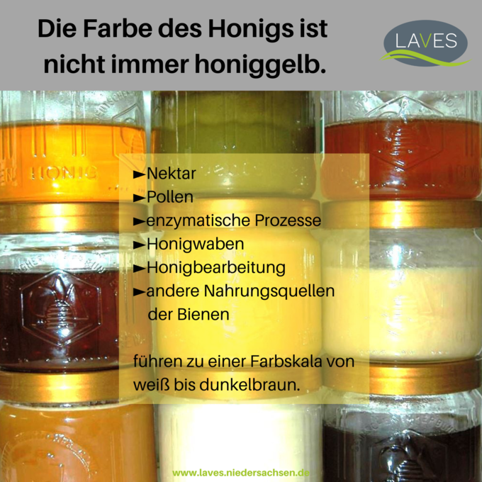 9 gestapelte Honiggläser (3x3) mit Honigen in verschiedenen Farben. Text: Die Farbe des Honigs ist nicht immer honiggelb. Nektar, Pollen, enzymatische Prozesse, Honigwaben, Honigbearbeitung, andere Nahrungsquellen führen zu einer Farbe von weiß bis br